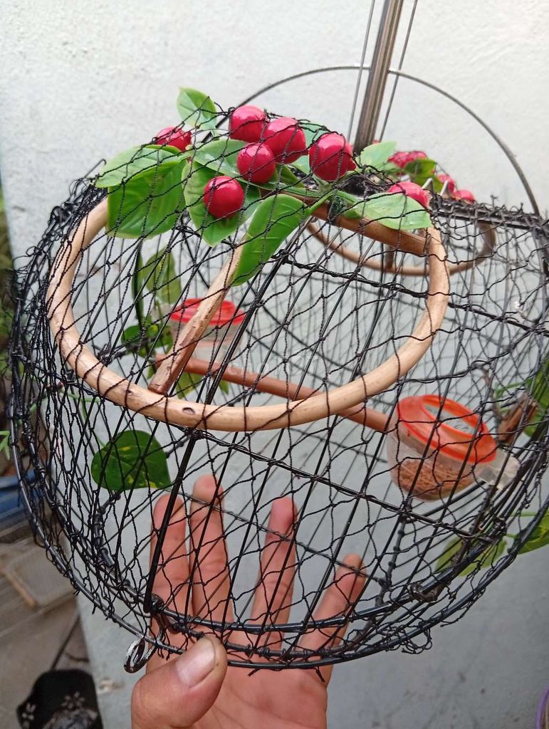 Lồng bẫy chim kim loại đã sử dụng. Mua bán Phụ kiện, Thức ăn, Dịch vụ tại Thành phố Thủ Đức Tp Hồ Chí Minh được đăng bởi chao chảo mặt trắng  hình 1