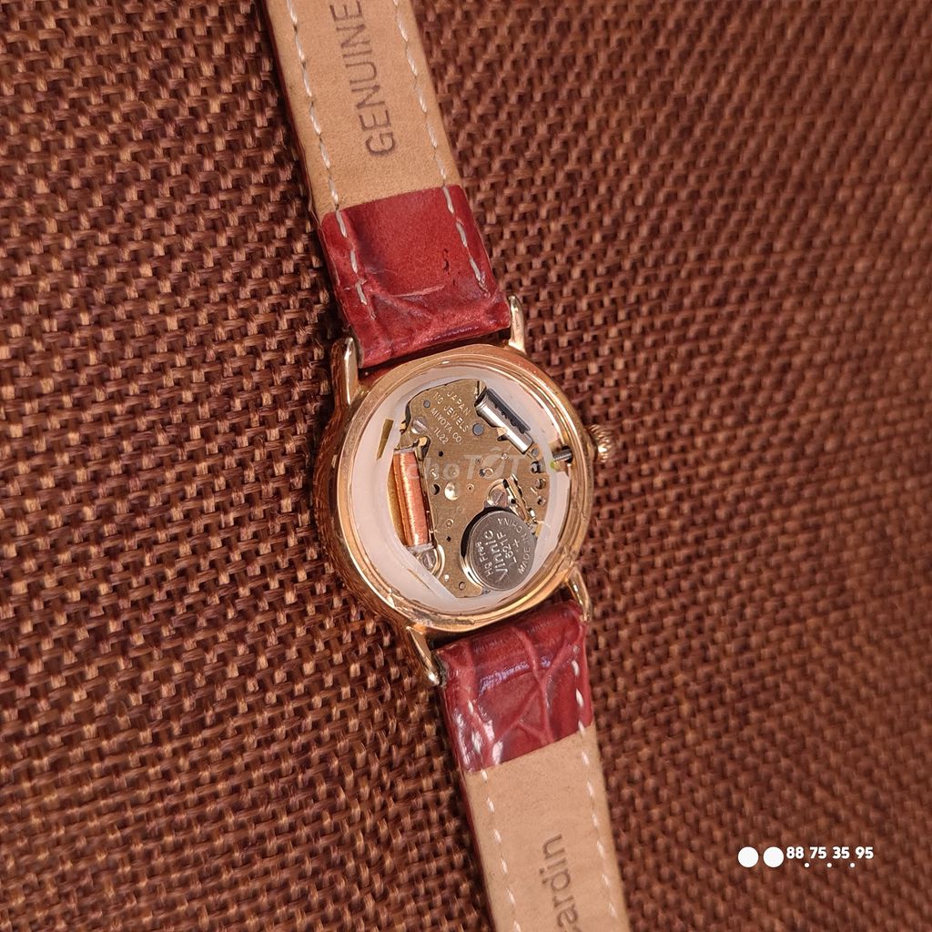 Đồng hồ nữ Pierre Cardin máy Nhật