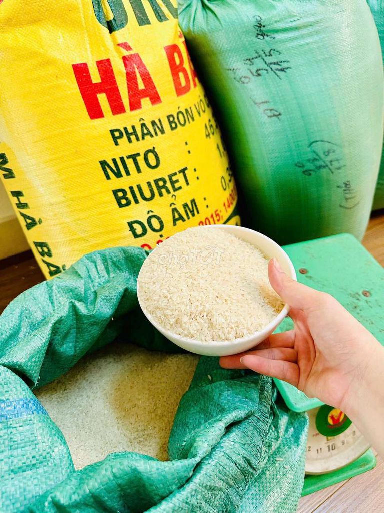 Gạo quê Xát mộc nguyên cám 10kg Sạch dẻo. Mua bán Đồ ăn, thực phẩm và các loại khác tại Quận Dương Kinh Hải Phòng được đăng bởi Oanh gạo quê xát mộc hình 1