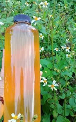 MẬT ONG BẠC HÀ 🐝 MẬT ONG HOA XUYẾN CHI 🐝TÂY NGUYÊN. Mua bán Đồ ăn, thực phẩm và các loại khác tại Quận Ngô Quyền Hải Phòng được đăng bởi Seenut