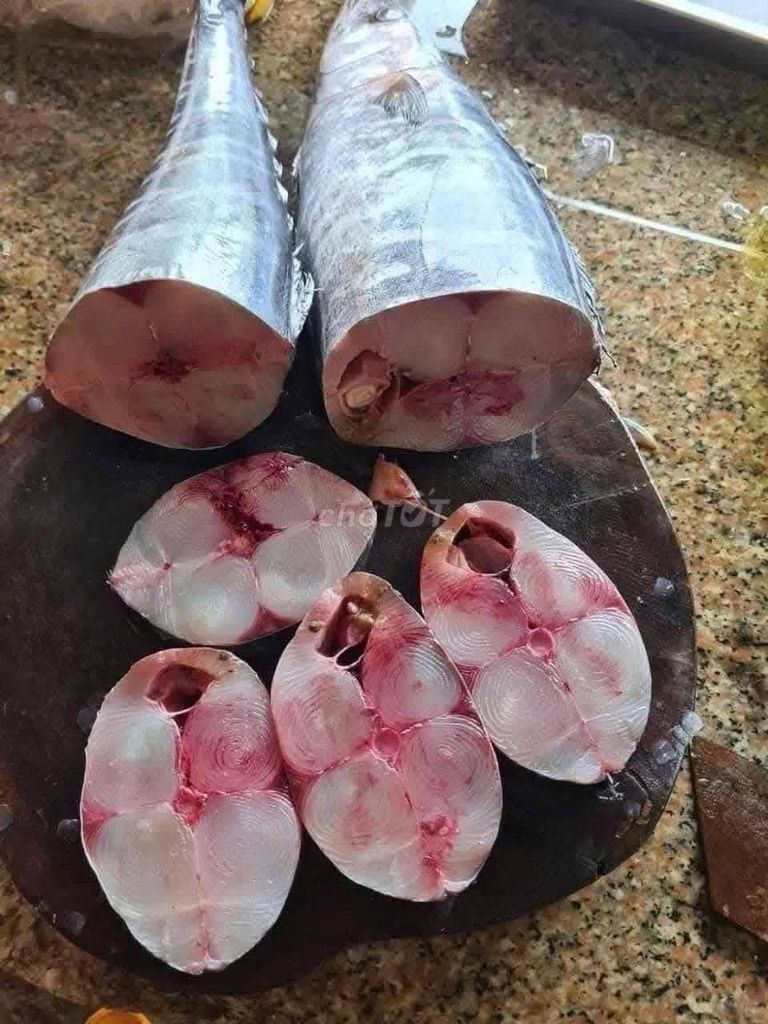 Set 4: cá thu tươi, chả mực, chả thu lem, mắm nhĩ. Mua bán Đồ ăn, thực phẩm và các loại khác tại Quận 10 Tp Hồ Chí Minh được đăng bởi Haseafood Market hình 1