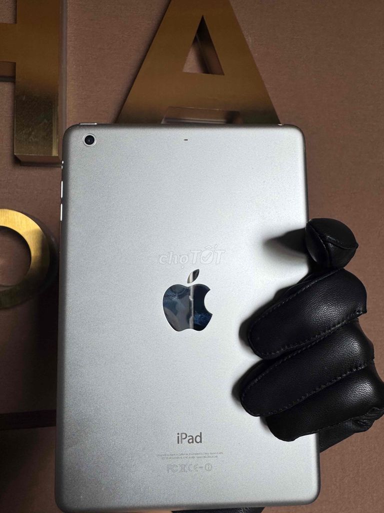 iPad mini 2 zin đẹp