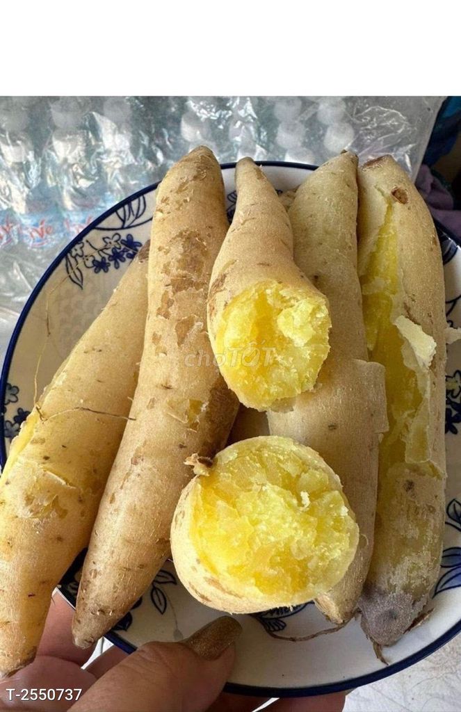 Set 3kg Khoai lang sữa thái ruột vàng dẻo ngọt TTS. Mua bán Đồ ăn, thực phẩm và các loại khác tại Thành phố Bến Tre Bến Tre được đăng bởi Siêu thị Anh Tú 88 hình 1
