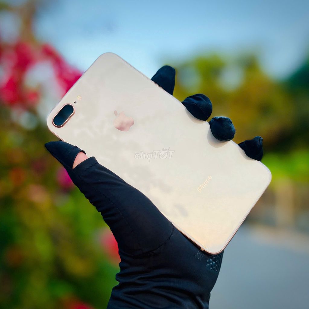 iPhone 8 Plus 64GB Quốc tế BH 3 tháng. Mua bán Điện thoại tại Thành phố Bến Tre Bến Tre được đăng bởi TN Store hình 1