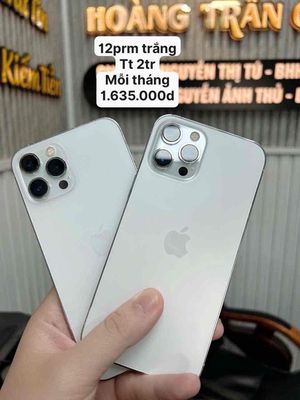 Apple iPhone 11 Pro Max Đen