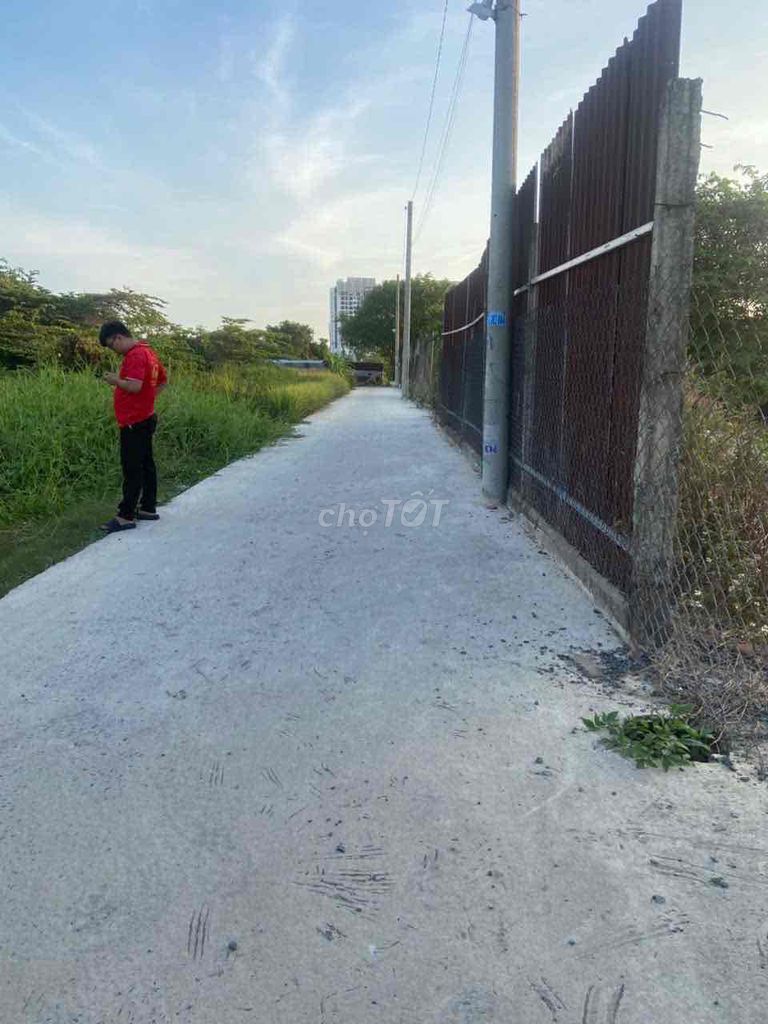 Đât 5x15m kdc đông đúc - ảnh 3