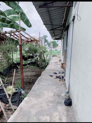 Room 12 m² · Đường Thới Hòa