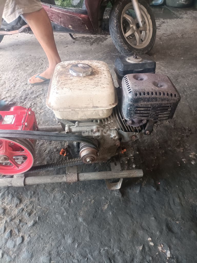 Máy xịt thuốc chạy bằng xăng. Mua bán Đồ chuyên dụng, Giống nuôi trồng tại Huyện Châu Thành Tiền Giang được đăng bởi Phuong hình 4