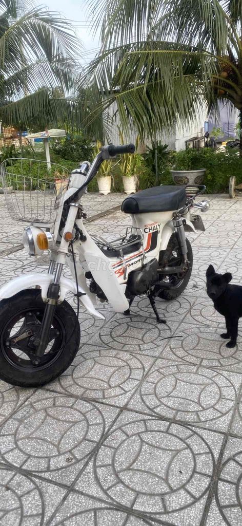 em cần bán xe chaly. Mua bán Xe máy tại Huyện Châu Thành Kiên Giang được đăng bởi hoang báo  hình 3