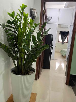 Cho thuê phòng trọ đầy đủ tiện nghi, vị trí đẹp, sạch sẽ, giá tốt