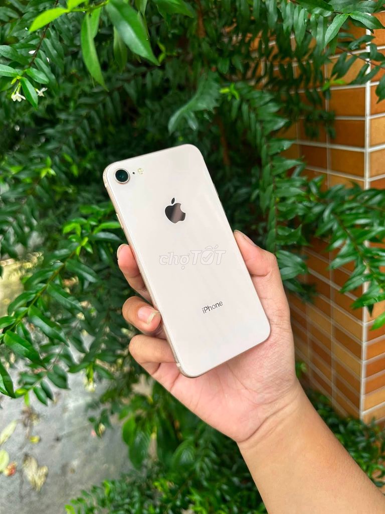 Apple iPhone 8 64GB Rose Gold 100%. Mua bán Điện thoại tại Quận 10 Tp Hồ Chí Minh được đăng bởi Hội Đồ Điện Tử hình 1