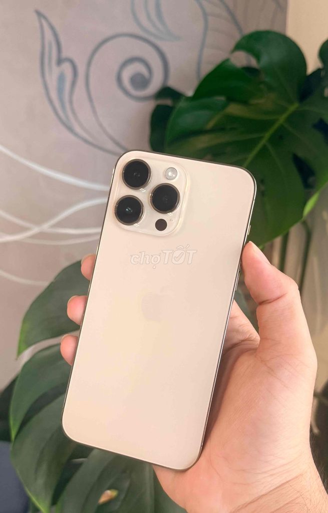 Apple iPhone 14 Pro Max 256GB Vàng Mỹ 99%. Mua bán Điện thoại tại Huyện Bình Chánh Tp Hồ Chí Minh được đăng bởi Nguyễn Phước Thành hình 1