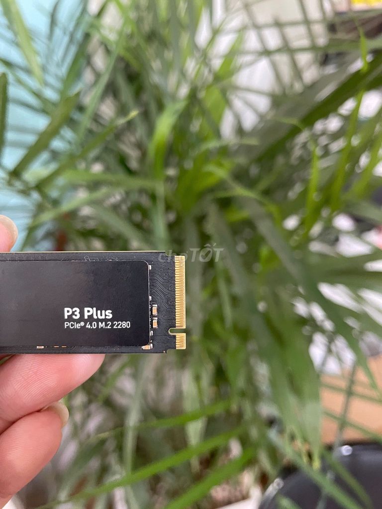 Ổ cứng SSD Crucial P3 Plus 1TB. Mua bán Linh kiện (RAM, Card...) tại Quận Gò Vấp Tp Hồ Chí Minh được đăng bởi GIA PHONG COMPUTER GÒ VẤP hình 1