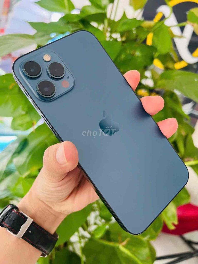 iphone 12 Pro max 128G Blue Pin zin 95% . Chuẩn zi. Mua bán Điện thoại tại Thành phố Biên Hòa Đồng Nai được đăng bởi Oanh Hoang hình 1