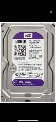 Ổ cứng HDD 500Gb WD Purple Sata/64MB Cache new