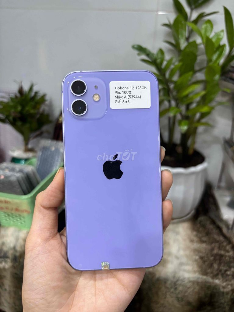 Apple iPhone 12 128GB Tím Màn đã sử dụng. Mua bán Điện thoại tại Huyện Hóc Môn Tp Hồ Chí Minh được đăng bởi SIRI STORE HCM hình 1