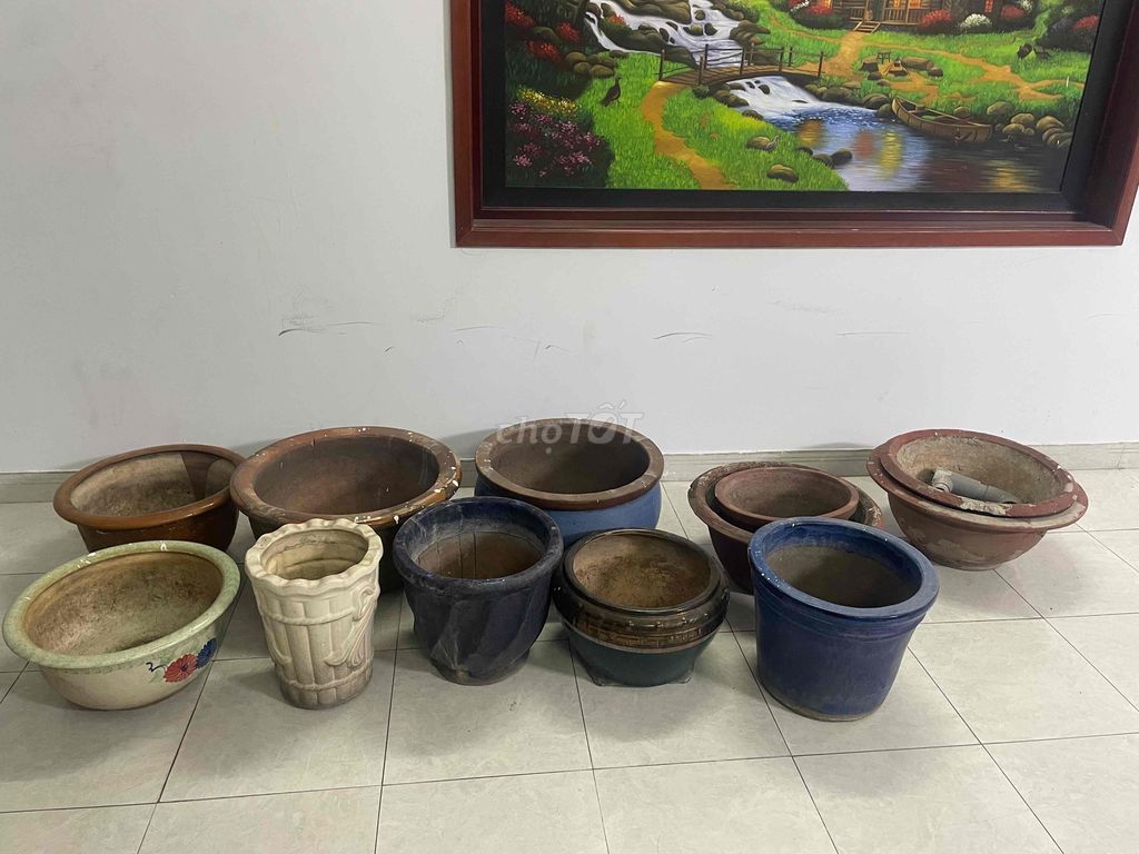 8 Chậu cây cảnh Gốm sứ trang trí nội thất. Mua bán Cây cảnh, đồ trang trí tại Quận Bình Thạnh Tp Hồ Chí Minh được đăng bởi Nguyễn Vũ Hoàng Quỳnh hình 1