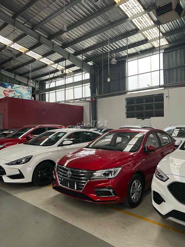 Ảnh số 5