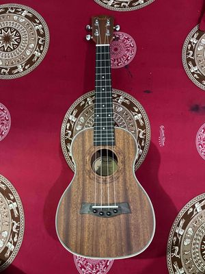 Đàn ukulele fender 23inch của Mỹ