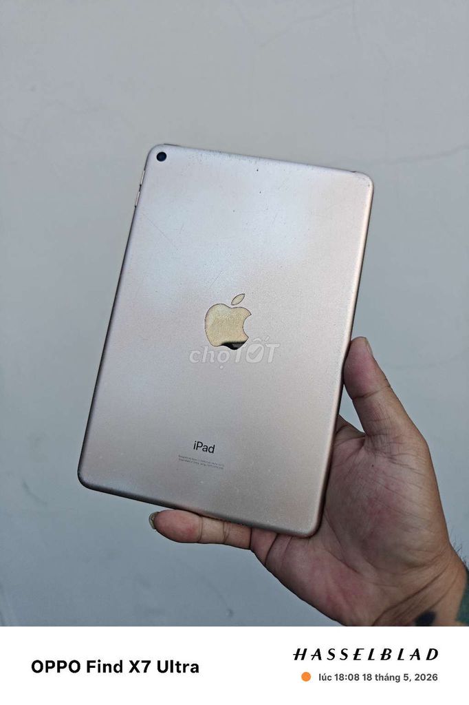 Apple iPad Mini 5 64GB Vàng hồng. Mua bán Máy tính bảng tại Quận Cái Răng Cần Thơ được đăng bởi Ngân Long Trung hình 1