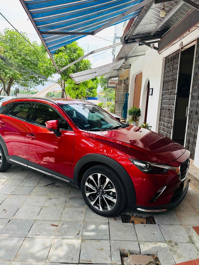 Ảnh số 6