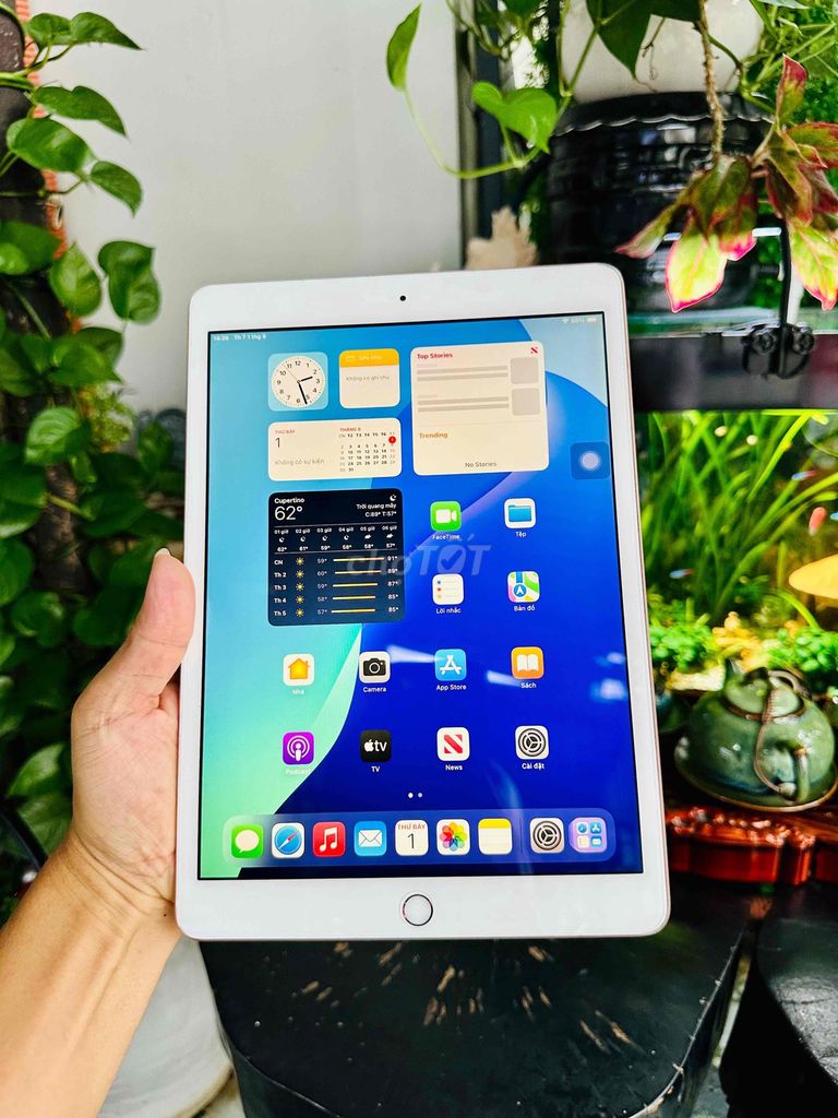 Apple iPad Gen 7 128GB Vàng 10.2 inch zin đẹp. Mua bán Máy tính bảng tại Thành phố Nha Trang Khánh Hòa được đăng bởi Quý Pipoy hình 1