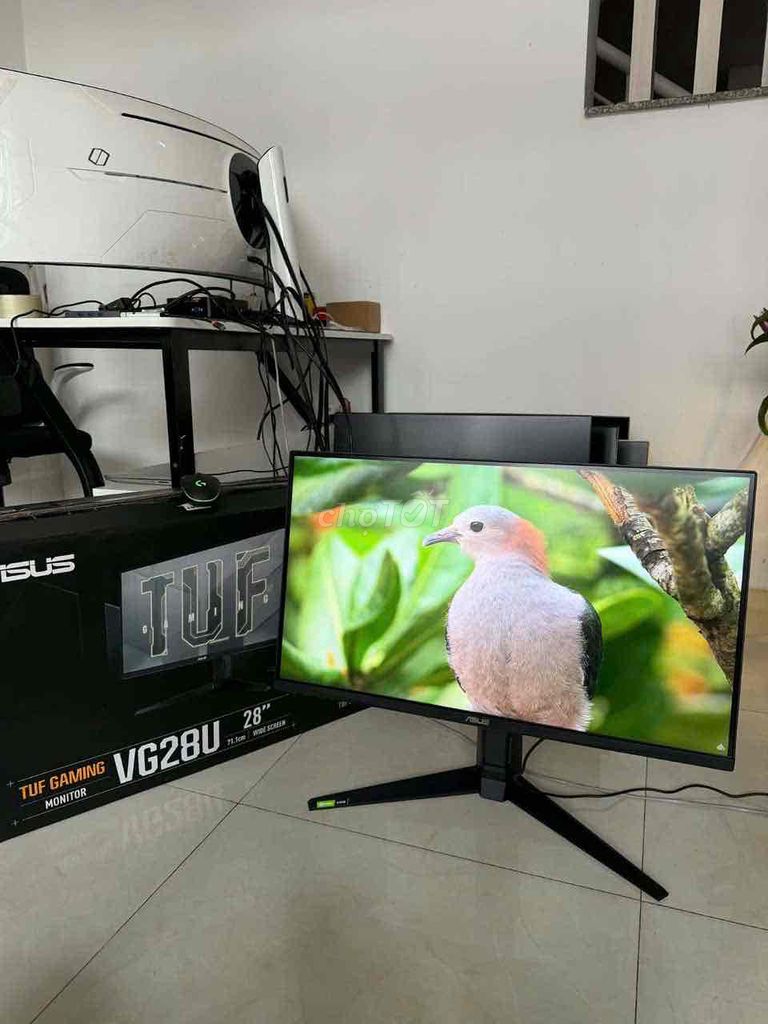 Màn hình Asus Tuf Gaming 4k 144hz. Mua bán Phụ kiện (Màn hình, Chuột...) tại Thành phố Thủ Đức Tp Hồ Chí Minh được đăng bởi NTTH hình 1