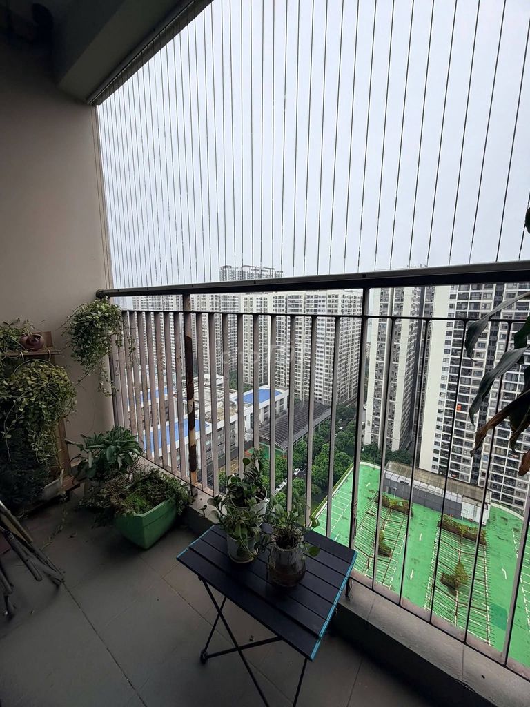 Апартаменты 63 м2 Vinhomes Ocean Park, ориентация ЮВ, высокий этаж