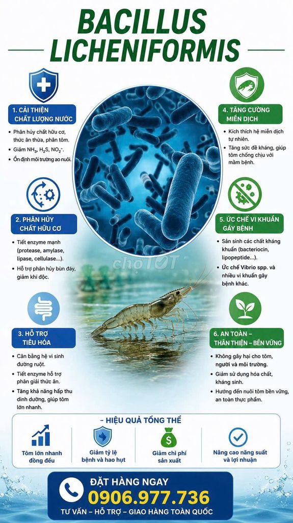 Vi sinh Bacillus Licheniformis nhập khẩu bột TQ. Mua bán Phụ kiện, Thức ăn, Dịch vụ tại Huyện Đức Hòa Long An được đăng bởi Ms Hạnh  hình 1