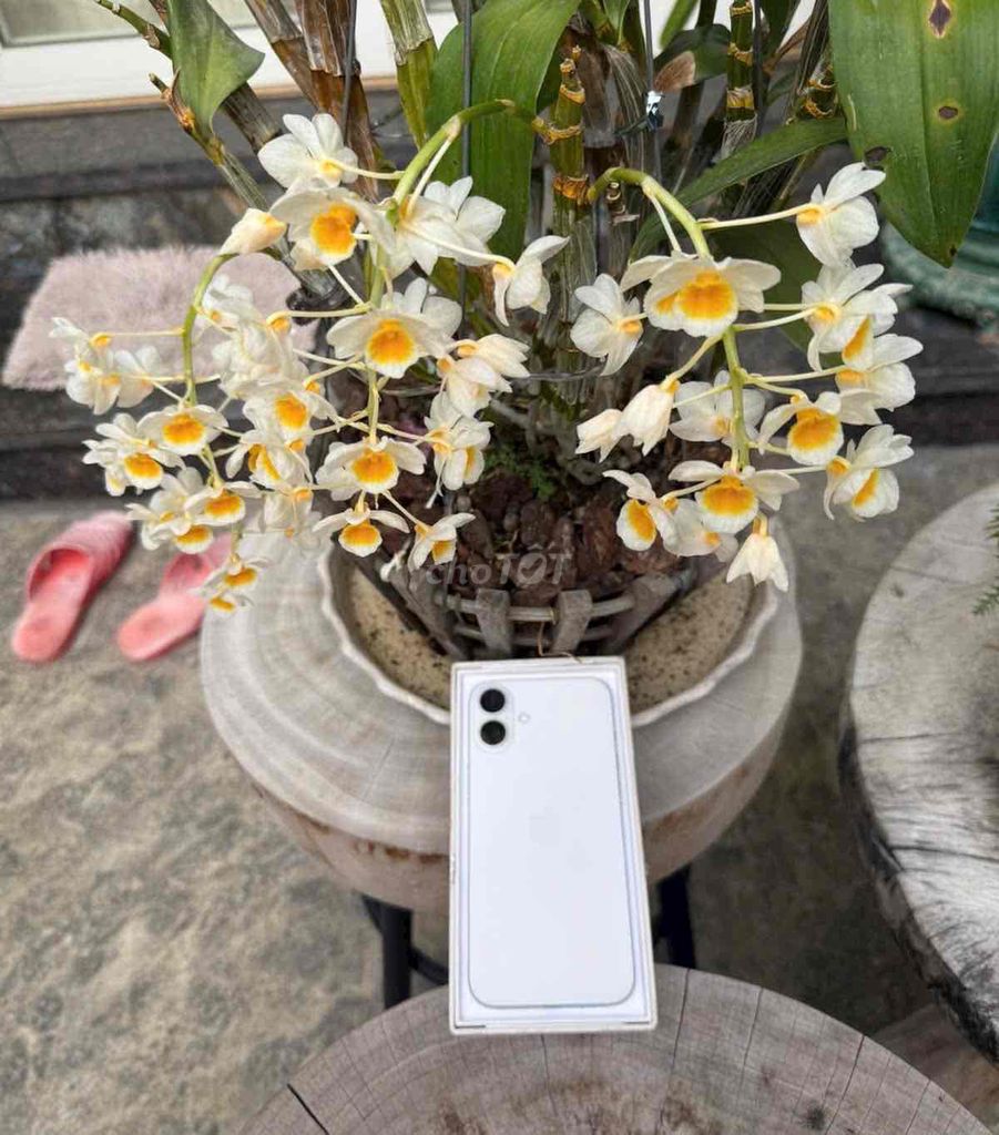 iPhone 16 Plus 512GB Trắng Mỹ pin 98. Mua bán Điện thoại tại Quận 3 Tp Hồ Chí Minh được đăng bởi Nam Á Mobile hình 1