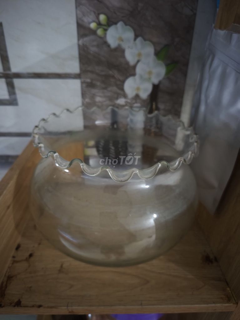 Bể cá cảnh thủy tinh để bàn. Mua bán Cây cảnh, đồ trang trí tại Quận Gò Vấp Tp Hồ Chí Minh được đăng bởi Bắc Nam Việt hình 1
