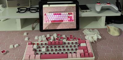 Bàn phím Akko 3068B Plus Sakura. Mua bán Phụ kiện (Màn hình, Chuột...) tại Quận Ninh Kiều Cần Thơ được đăng bởi PHÚC VÕ