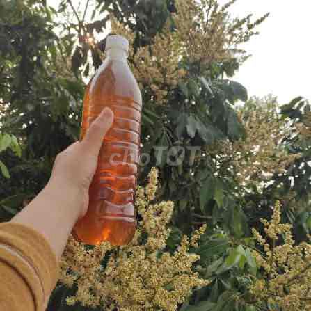Mật ong Nhãn nguyên chất. bao test tại chỗ. Mua bán Đồ ăn, thực phẩm và các loại khác tại Quận Bắc Từ Liêm Hà Nội được đăng bởi sơn rabbit hình 1