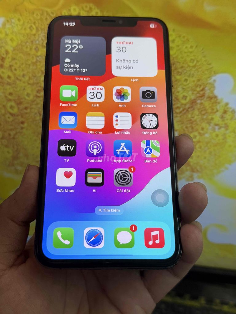 XS MAX 256G QUỐC TẾ MẤT FACE PIN 100