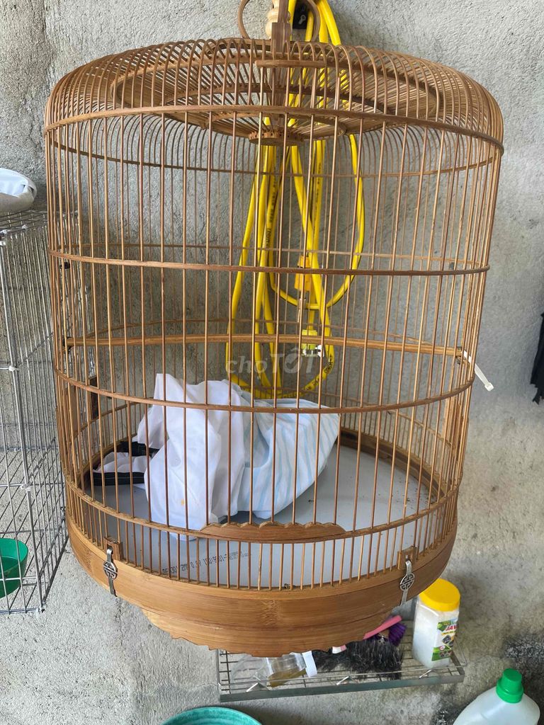 Lồng chim tre 80 nan mới đẹp. Mua bán Phụ kiện, Thức ăn, Dịch vụ tại Thành phố Buôn Ma Thuột Đắk Lắk được đăng bởi tài nguyễn hình 1