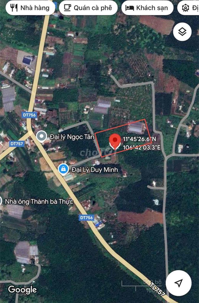 đất thanh an có sẵn nhà cấp 4 cao su dang thu hoạch. Mua bán đất tại Huyện Hớn Quản Bình Phước được đăng bởi nguyễn ngân hình 3