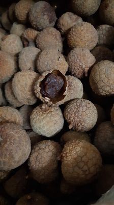 Vải thiều Bắc Giang sấy khô. Mua bán Đồ ăn, thực phẩm và các loại khác tại Quận Đống Đa Hà Nội được đăng bởi Cây lưỡi hổ