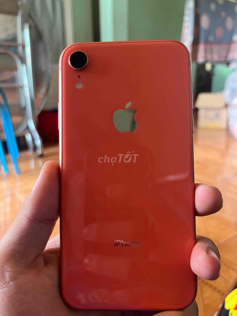 Apple iPhone XR 64GB Cam Mất Face ID, màn ám. Mua bán Điện thoại tại Huyện Bình Chánh Tp Hồ Chí Minh được đăng bởi Nguyễn Minh Trí hình 1