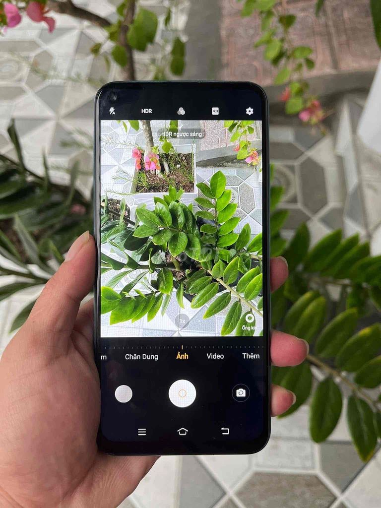 vivo Y50 ram 8/128 pin trâu camera đẹp ạ