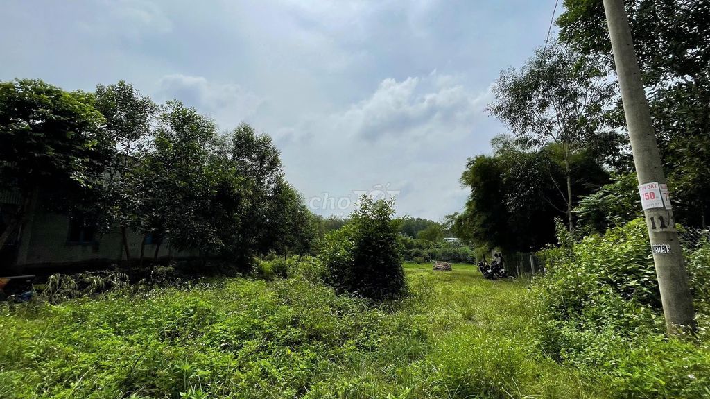 chủ gửi bán 3500m2 có 200m2 thổ cư sát bên KCN Long Đức. Mua bán đất tại Huyện Long Thành Đồng Nai được đăng bởi Minh Anh Nhiên hình 1