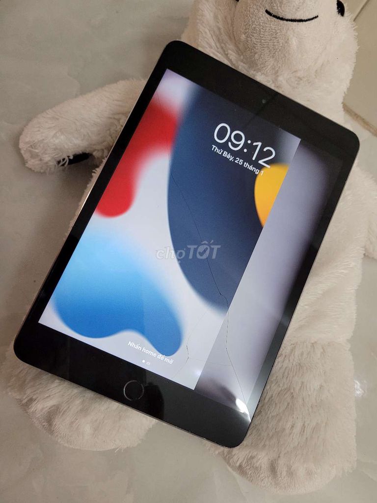 Ipad Mini 4 16g giá tốt