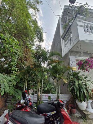 mua dat go vap Mua bán đất Quận Gò Vấp, TP.HCM có sổ đỏ - mới nhất T5/2026 main image 0