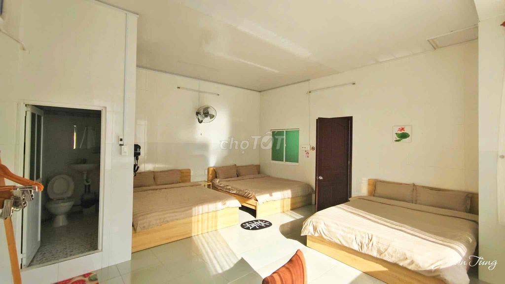 Homestay Miếu Bà Châu Đốc + 78m2 + Đã Có Lượng Khách Ổn Định"