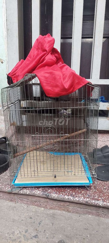 Lồng chim Kim loại Xám. Mua bán Phụ kiện, Thức ăn, Dịch vụ tại Quận Ba Đình Hà Nội được đăng bởi Anh Nguyen Duc hình 1