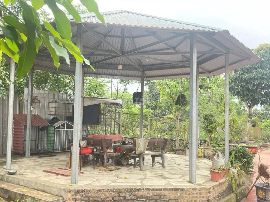 CHÍNH CHỦ BÁN NHÀ VƯỜN BA VÌ – 1.700M², CÓ 200M² THỔ CƯ. Mua bán nhà ở tại Huyện Ba Vì Hà Nội được đăng bởi Lại Thanh Tuấn hình 2