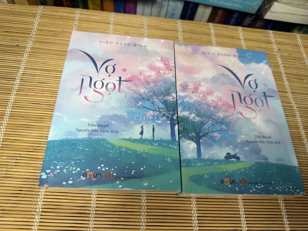 Tiểu thuyết Vợ Ngọt Ngôn tình Còn seal. Mua bán Sách tại Thành phố Thủ Đức Tp Hồ Chí Minh được đăng bởi Hai My hình 1