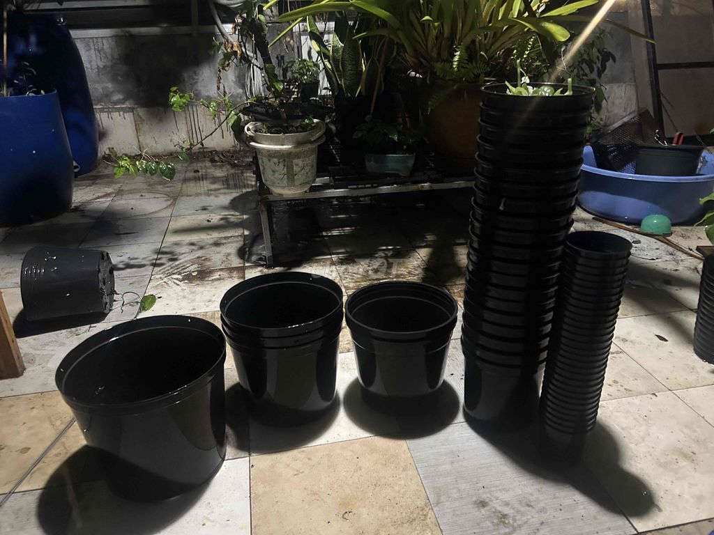 Chậu trồng lan Nhựa Đen nhiều size. Mua bán Cây cảnh, đồ trang trí tại Quận Cẩm Lệ Đà Nẵng được đăng bởi nguyễn trường thông hình 1