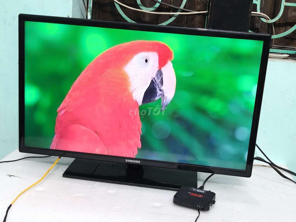 Tivi Samsung 32 inch kèm đầu androi BoX 360,. Mua bán Tivi, Âm thanh tại Huyện Thuỷ Nguyên Hải Phòng được đăng bởi Quang Hải hình 1