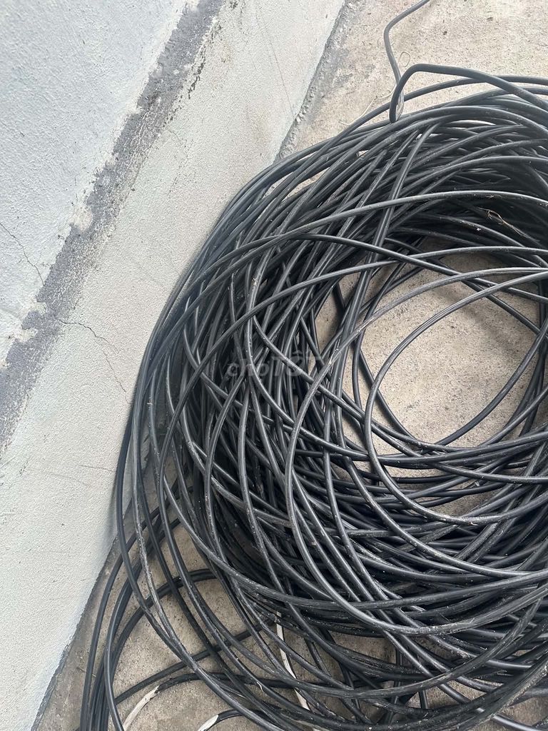 Cáp điện Đồng Đỏ 2x4. Mua bán Đồ chuyên dụng, Giống nuôi trồng tại Huyện Tiên Lãng Hải Phòng được đăng bởi Phamnhien93 hình 1