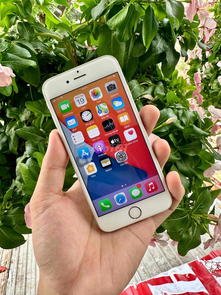 iphone 6S 64G quốc tế đẹp 99%